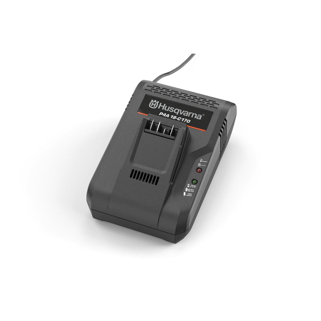 100002868 Aspire Ladegerät P4A 18-C170 8A