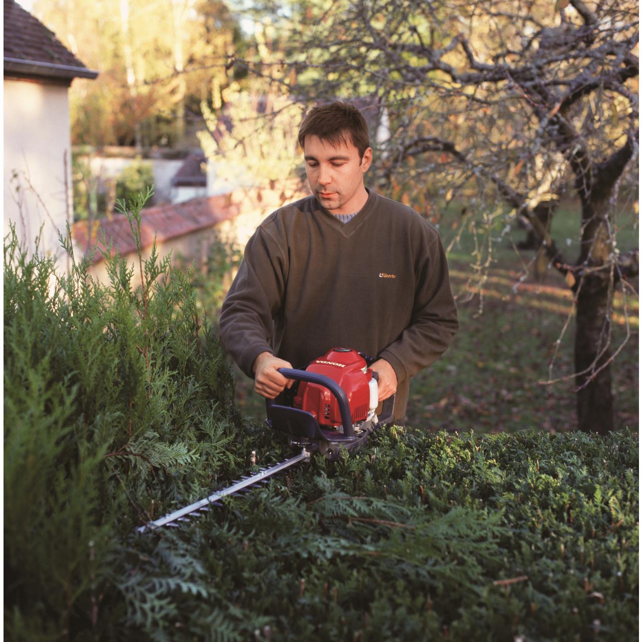 100002536 Benzin-Heckenschere HHH 25 D-60