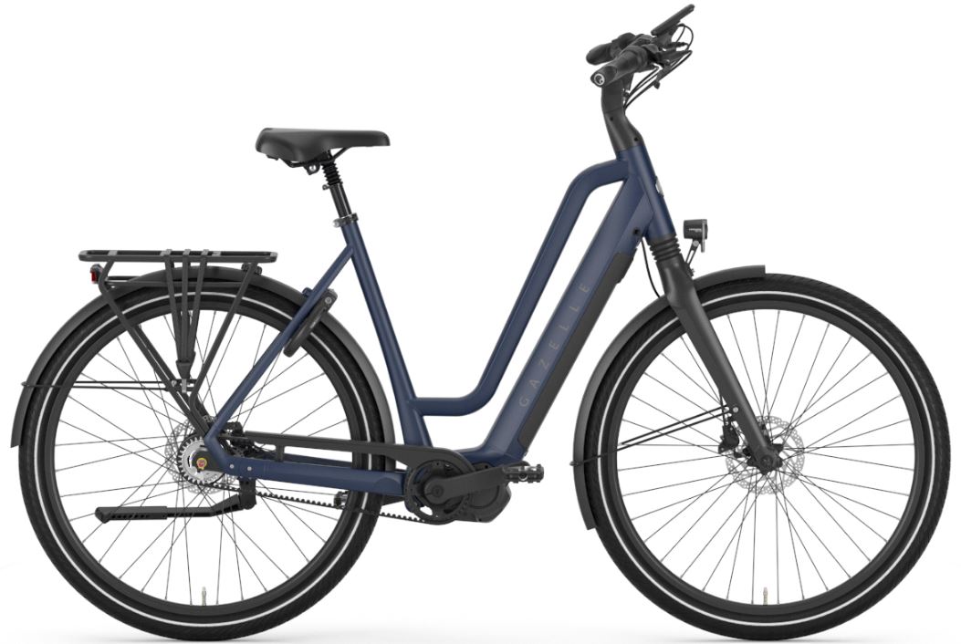 Fahrrad Chamonix C5 HMS (Herzfeld)